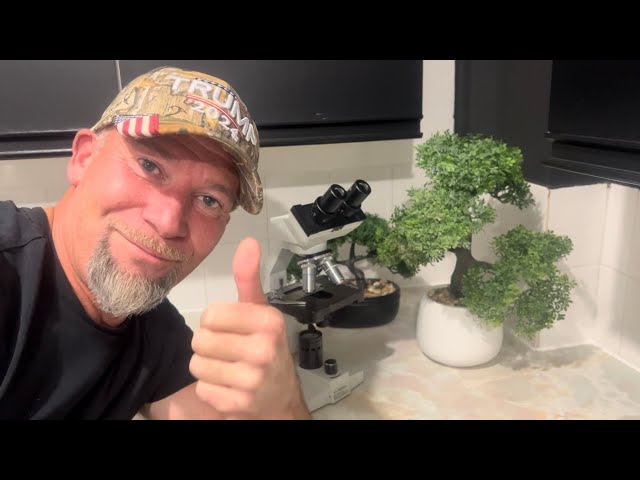 Microscopes and Parasites