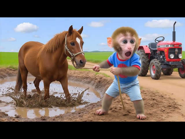 Baby monkey NaNa drives a tractor and rescues a horse trapped in the mud 🐵✨