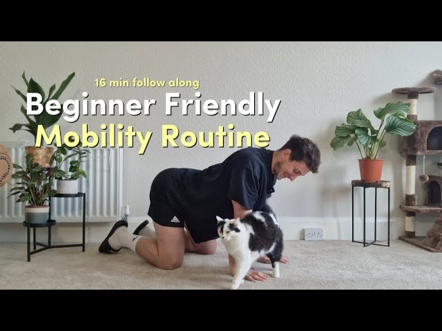 16 Minute Beginner Mobility Routine! Follow Along | No Equipment