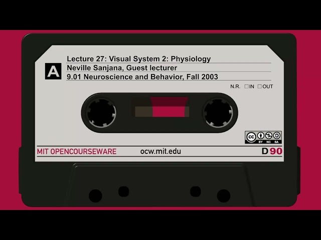 Lecture 27: Visual System 2: Physiology (orig: Ablation Effects); Neville Sanjana, Guest lecturer