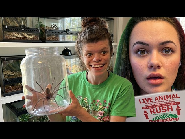 Unboxing Spiders, Snakes & Bugs with Alexandra | Celebrating the Beautifully Weird 🕷️🐍🖤