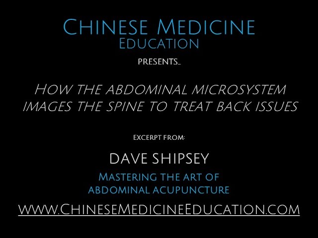 How the Abdominal Microsystem Images the Spine