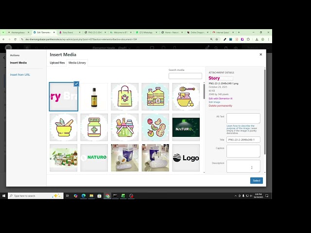Create Website With WordPress 1