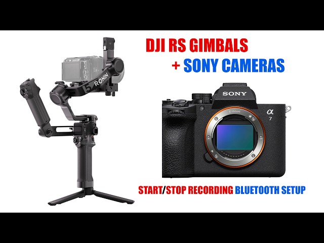 Control Sony Camera Recording w/ DJI RS Gimbals via Bluetooth [ Tutorial ]