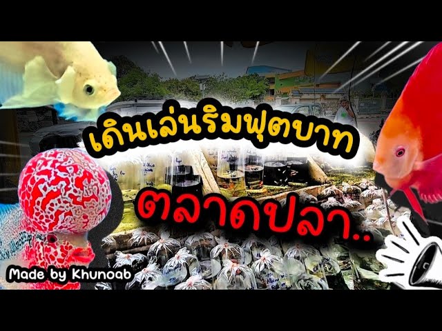 ตลาดปลา ริมฟุตบาท !!