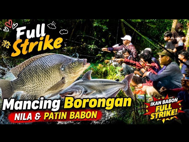 UNEXPECTED !!!1 SMALL POND, TONS OF FISH | ALL-YOU-CAN-CATCH FISHING