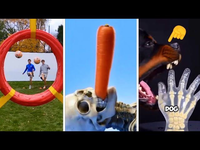 THE BEST SHORTS 🤣 - COMPILATION 