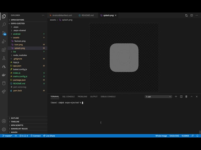 8. React Native - Expo Eject - Updating splash screen