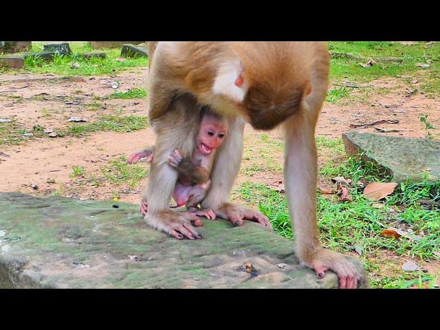 Little baby Alfie's adorable behavior when Amanda doesn't want to breastfeed him
