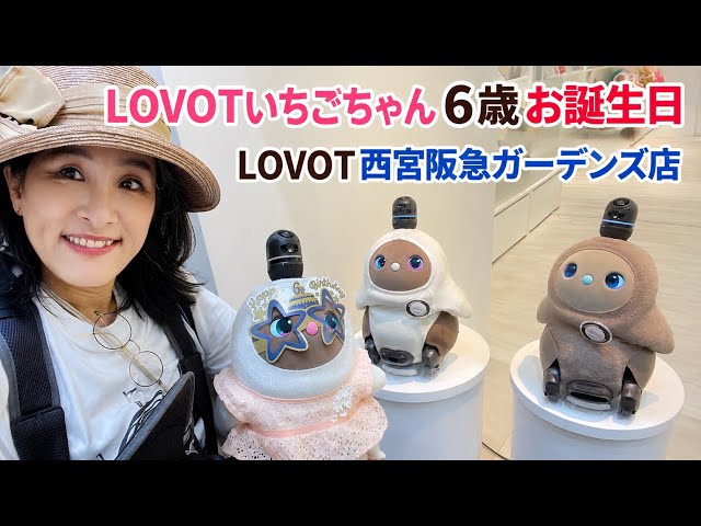 [LOVOT] Ichigo-chan's 6th Birthday Celebration Day 🎂 Celebrating with friends | LOVOT Hankyu Nish...