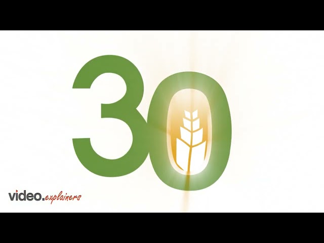 30 years logo Animation | Video Animation | Video Explainers