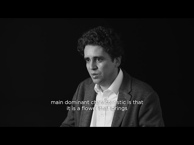 A conversation about Sequence, The Amouage Essence created by Julien Rasquinet