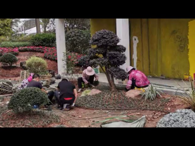 garden share 四川彝族凉山自治州“天喜中芯城”景观样板区花园分享