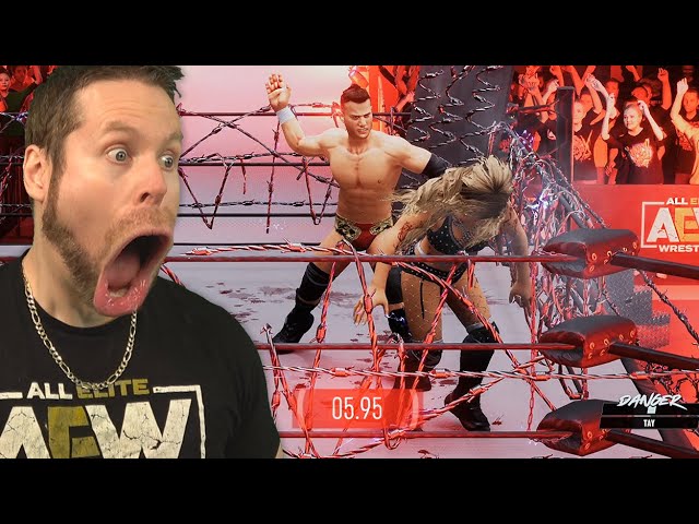 THIS GAME IS WILD! AEW Fight Forever