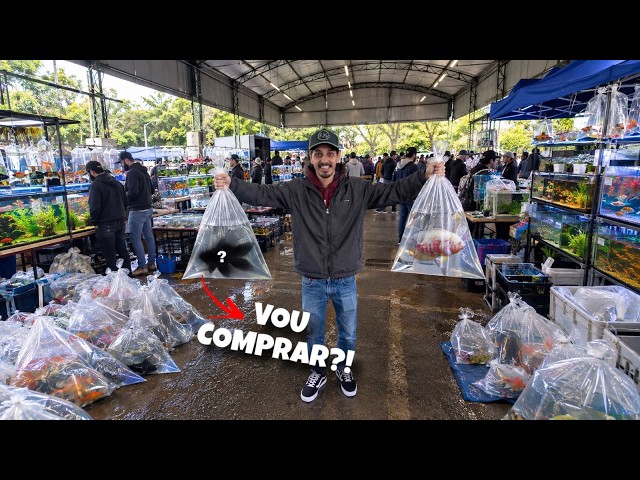 THE CRAZIEST EXOTIC MONSTER FISH AT THE WEIRD MARKET 🫪