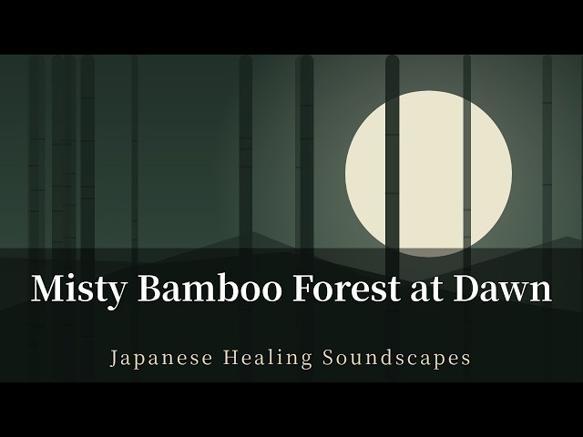 Japanese Flute Music for Sleep/Study 🎋 3 Hours Bamboo Forest
