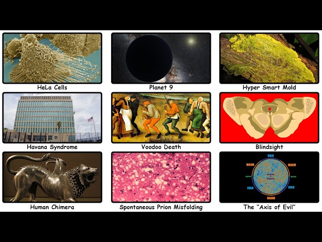 The Most Disturbing Scientific Anomalies We Can't Find An Explanation For