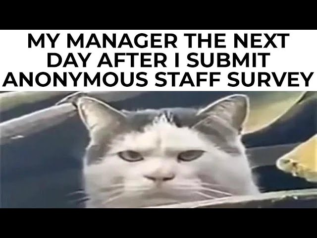 WORK MEMES