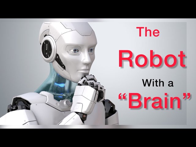 Artificial Intelligence: A Robot With ‘Brain’  sorting plastic waste at Cheltenham I You With Burnys