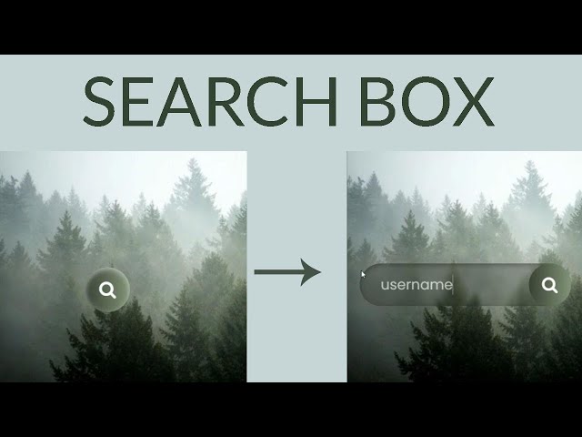 Awesome Search Box Using HTML & CSS