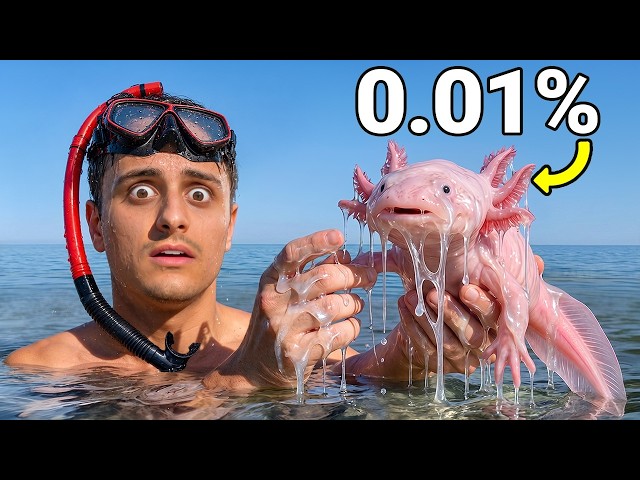 I Caught The World's Rarest Ocean Animal!