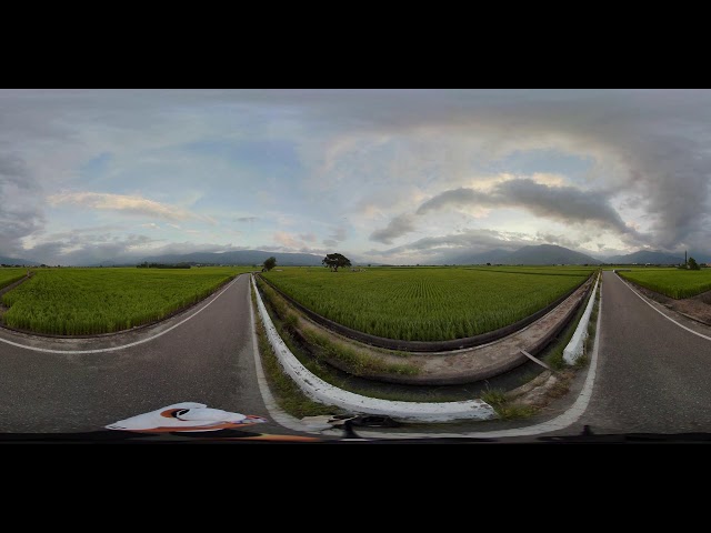 台東 #金城武樹 #Rogy360 #360看見台灣 360 4K 全景即時影像