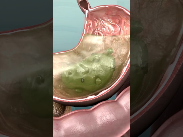 Getting Them Gastric Juices Flowing 🌊