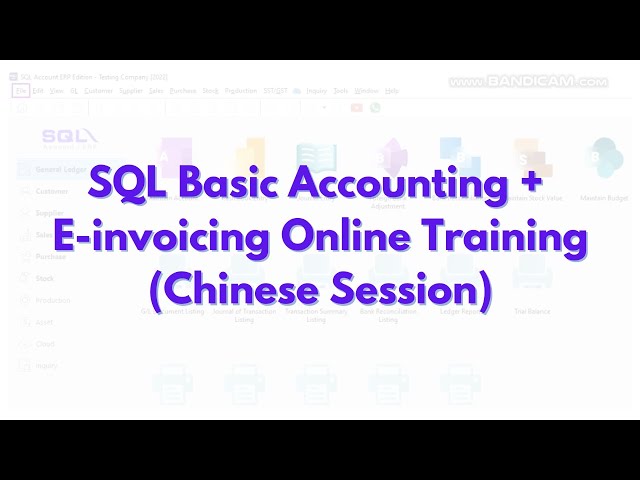 SQL Basic Accounting + E-invoicing Online Training  (Chinese Version) - Recorded Video 11/7/25