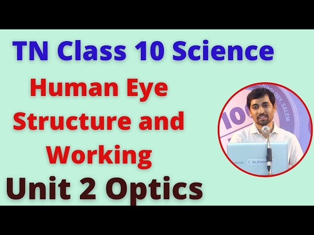 TN Class 10 Science | Human Eye Structure and Working | Optics Unit 2