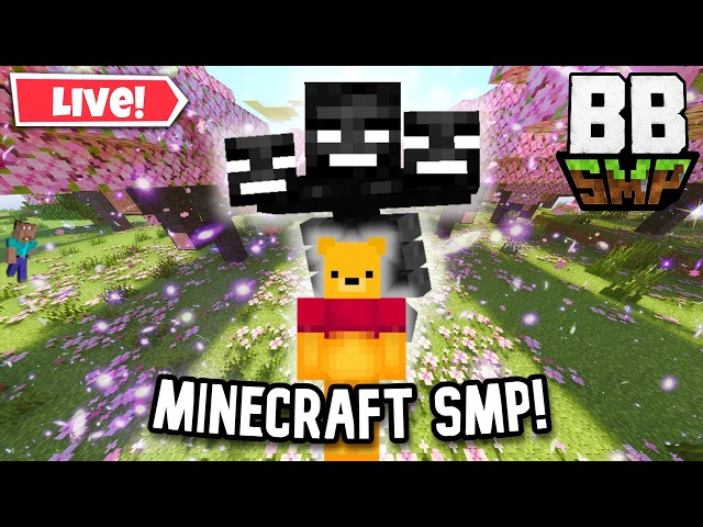 🔴LIVE🔴 BBSMP MINECRAFT WITH VIEWERS! JAVA AND BEDROCK!