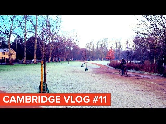 Cambridge Vlog 11 | College Marriage