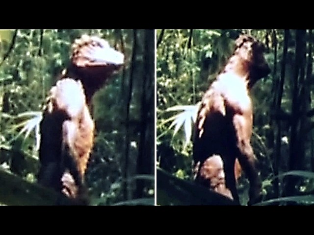 Unknown Creatures Caught on Camera That Should Not Exist