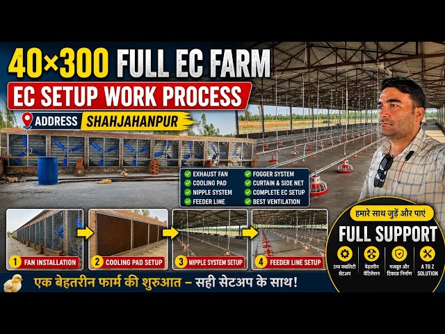 40×300 Full EC Poultry Farm | EC Setup Work Process | Shahjahanpur | Semi EC to Full EC Conversion