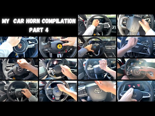 My Car Horn Compilation #4! (Longest One Yet!)