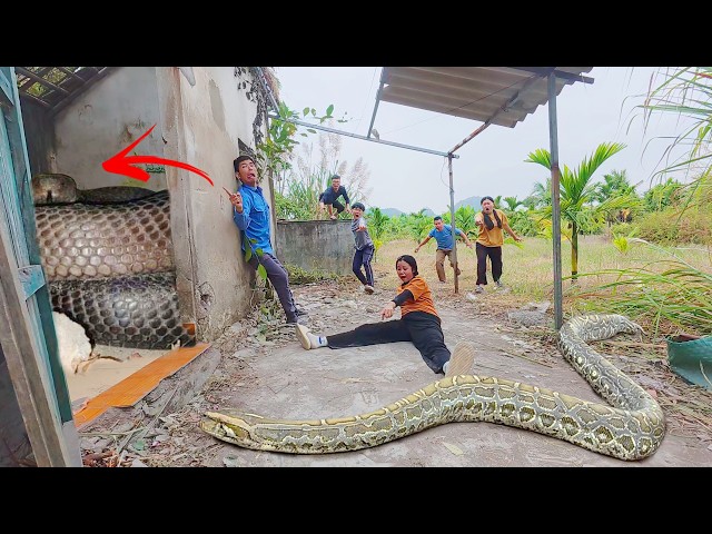 Brave experts rescue girl from giant snake nest in abandoned house.