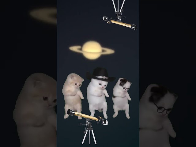 SATURN IN OPPOSITION