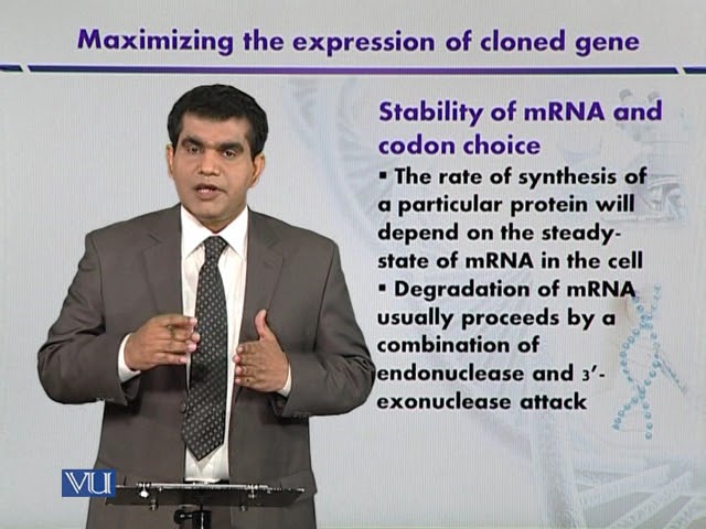 Stability of mRNA and Codon Choice | Introduction to Biotechnology | BIO5101_Topic107
