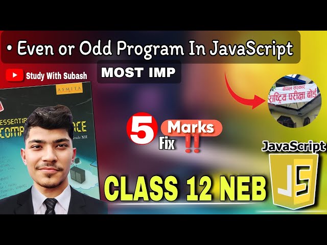 JavaScript Program to Check Even or Odd | Class 12 Computer Science