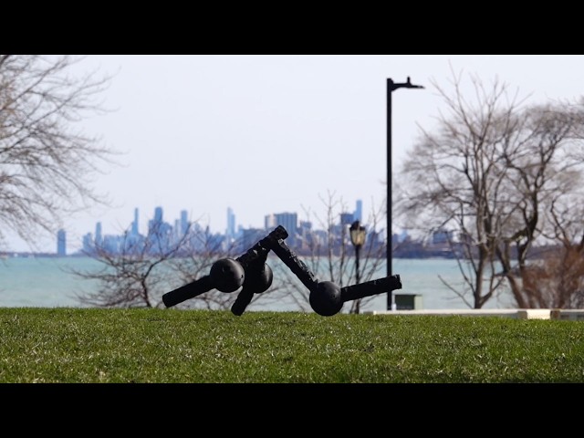 Evolved robots are born to run, refuse to die
