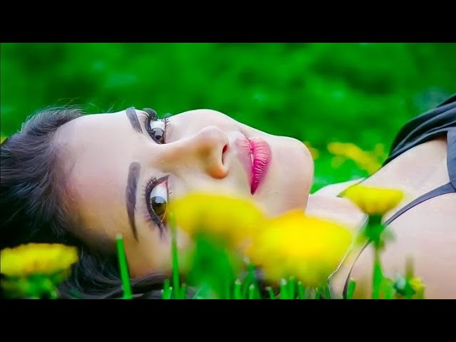 🎶2026 Ultimate Mind Relaxing Lofi Beats | Study, Sleep & Chill#trendingsong