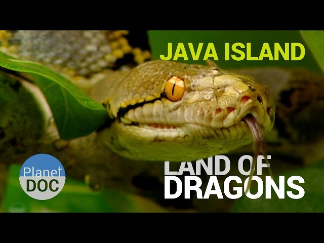 Java Island  [Indonesia]. Land of Dragons | Nature - Planet Doc Full Documentaries