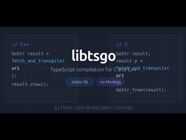 libtsgo: Typescript-Go for C/C++