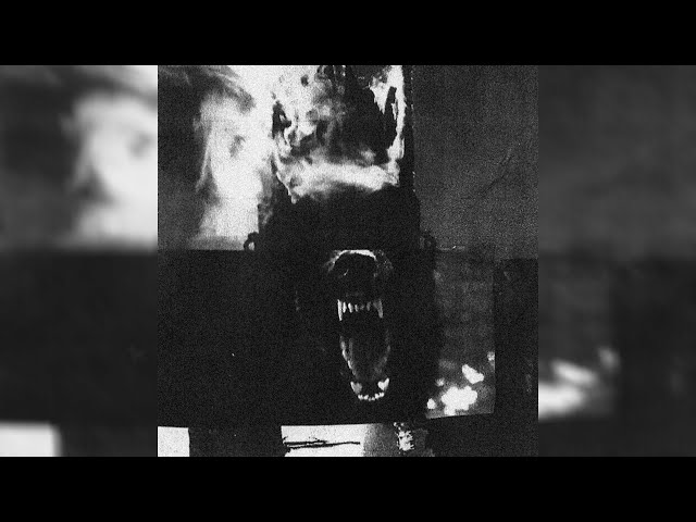 Freestyle Boom Bap Beat | "I DON'T STOP" | Underground Boom Bap Instrumental Uso Libre |