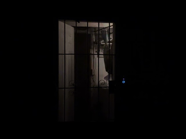 IMG 5812
