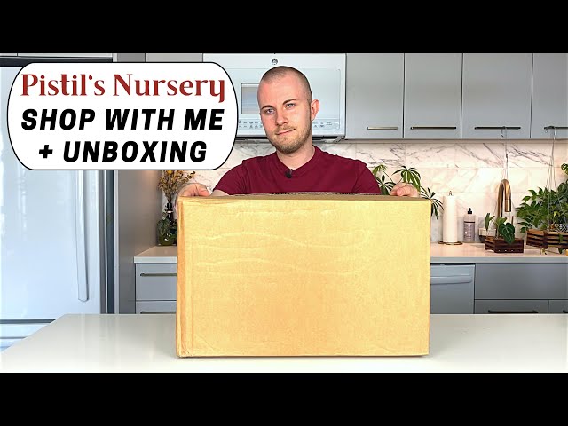 Pistil's Nursery Online Plant & Pottery Shop With Me + Unboxing