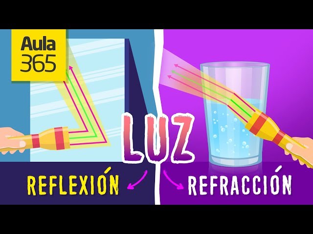 La Diferencia entre la Reflexión y Refracción de la Luz | Videos Educativos para Niños