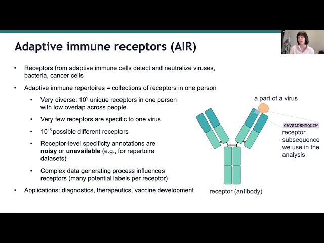 Unsupervised Machine Learning for Adaptive Immune Receptors with immuneML by Milena Pavlovic