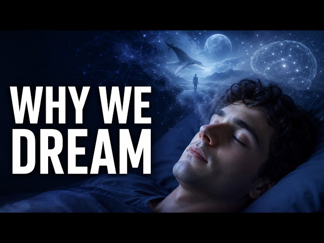 Fall Asleep to the Quiet Science of Dreams