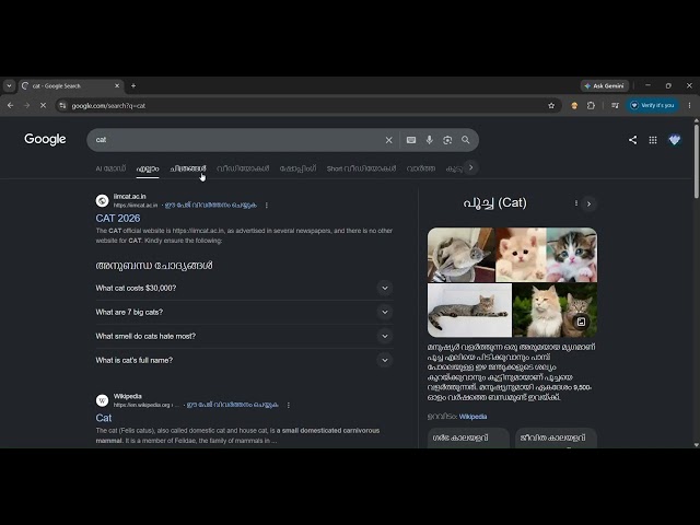 CS50W Project 0 - Search | Google Search Clone