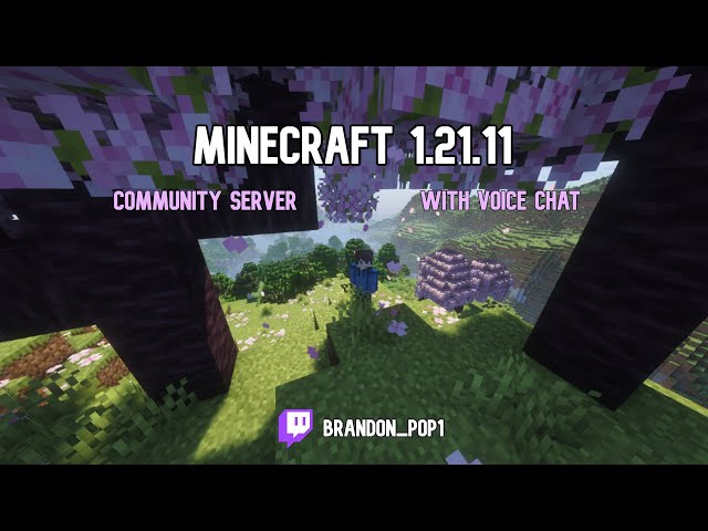 [Minecraft] Community Server 1.21.11 Java